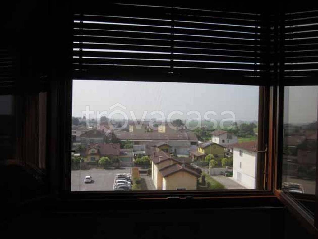 immagine annuncio 9 di 14