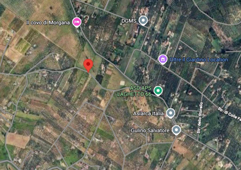 immagine annuncio 7 di 10