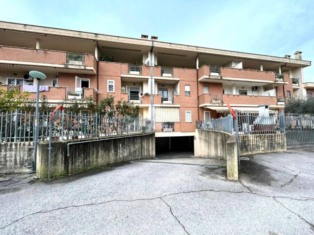 immagine annuncio 1 di 12