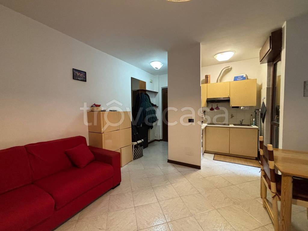 immagine annuncio 11 di 15