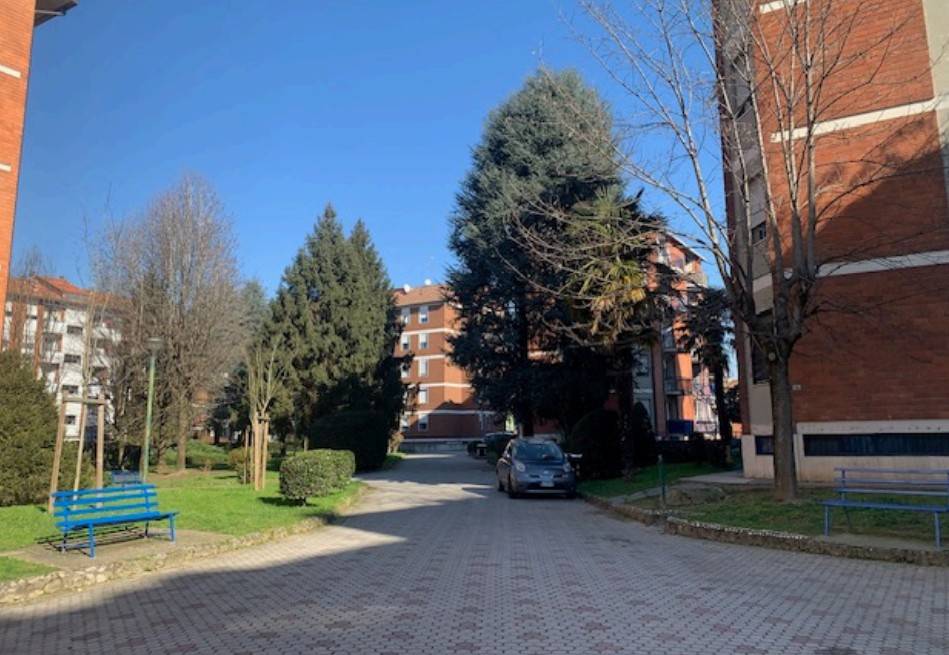 immagine annuncio 1 di 15