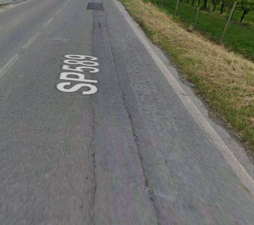 immagine annuncio 1 di 12