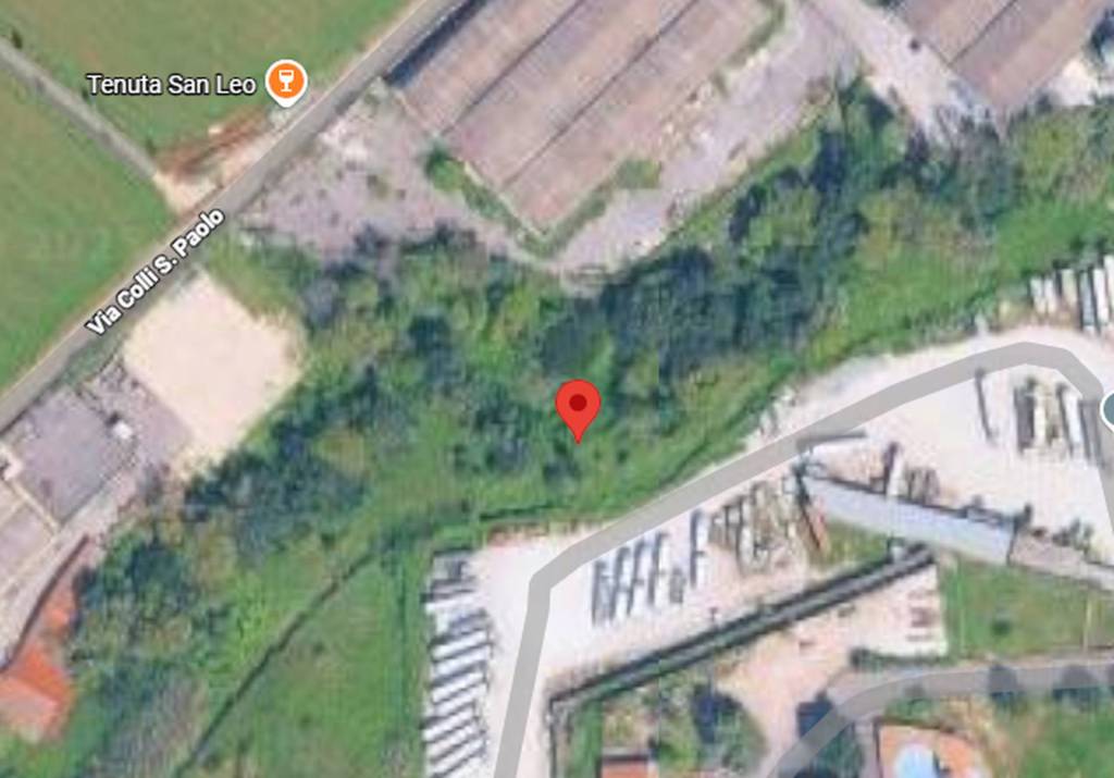 immagine annuncio 3 di 11