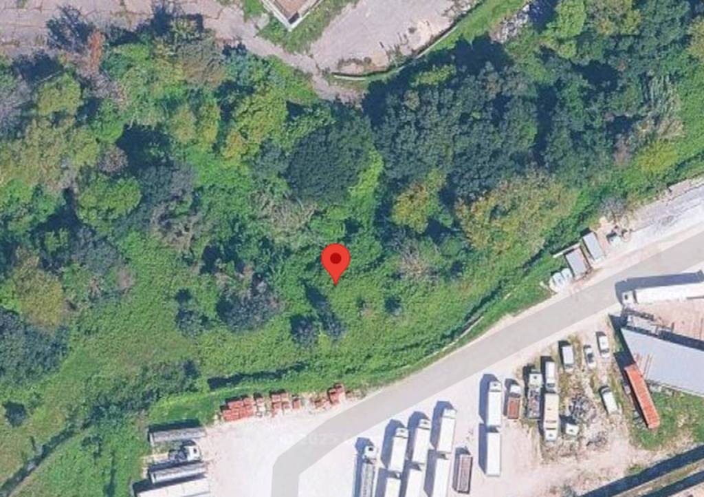 immagine annuncio 4 di 11