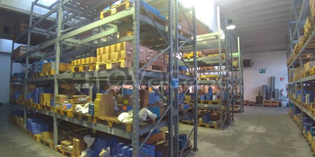 immagine annuncio 5 di 14