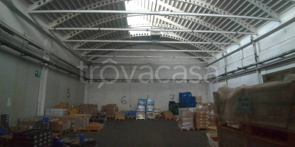 immagine annuncio 8 di 14