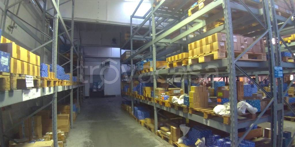 immagine annuncio 3 di 14