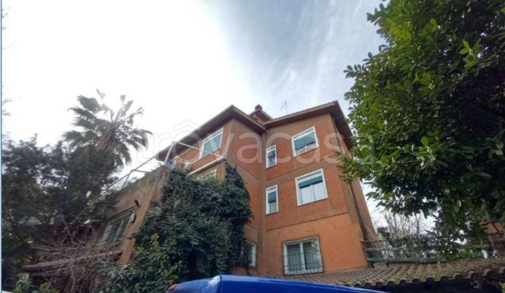 immagine annuncio 12 di 14