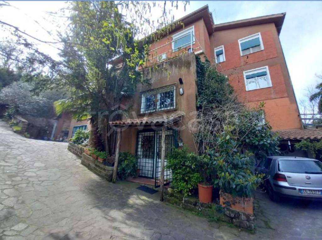 immagine annuncio 13 di 14