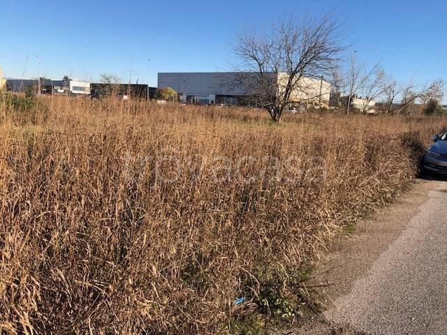 immagine annuncio 8 di 13