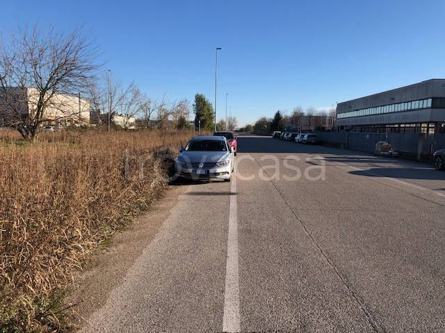 immagine annuncio 3 di 13