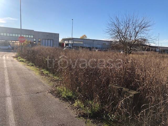 immagine annuncio 4 di 13