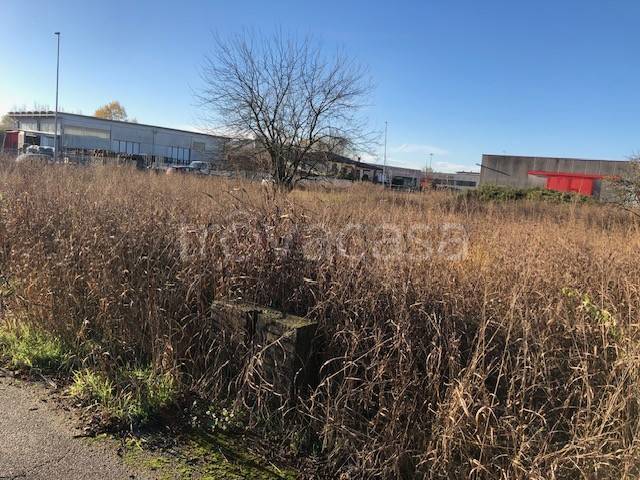 immagine annuncio 10 di 13