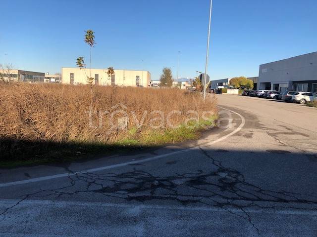 immagine annuncio 5 di 13