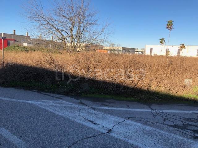 immagine annuncio 6 di 13