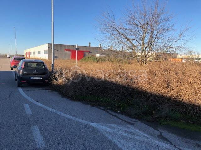 immagine annuncio 7 di 13