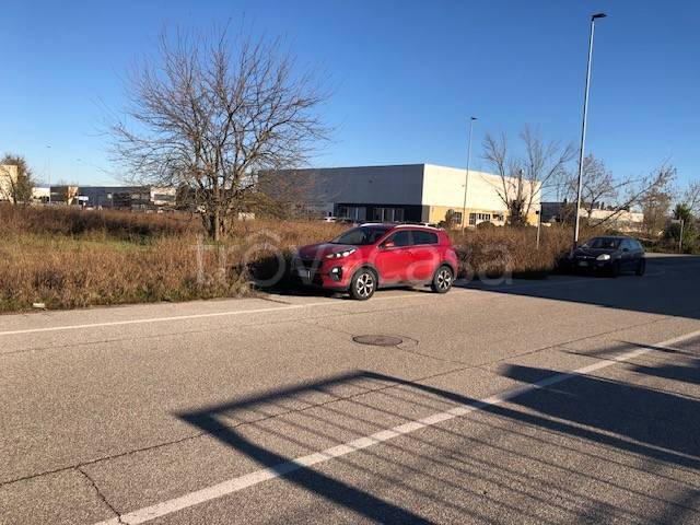 immagine annuncio 11 di 13