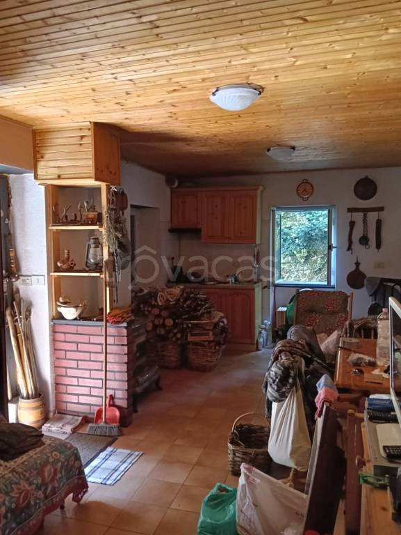 immagine annuncio 11 di 14