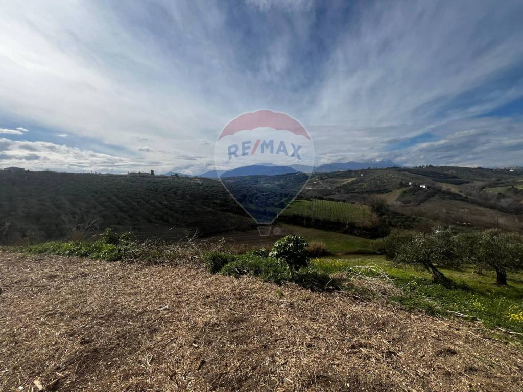 immagine annuncio 4 di 9