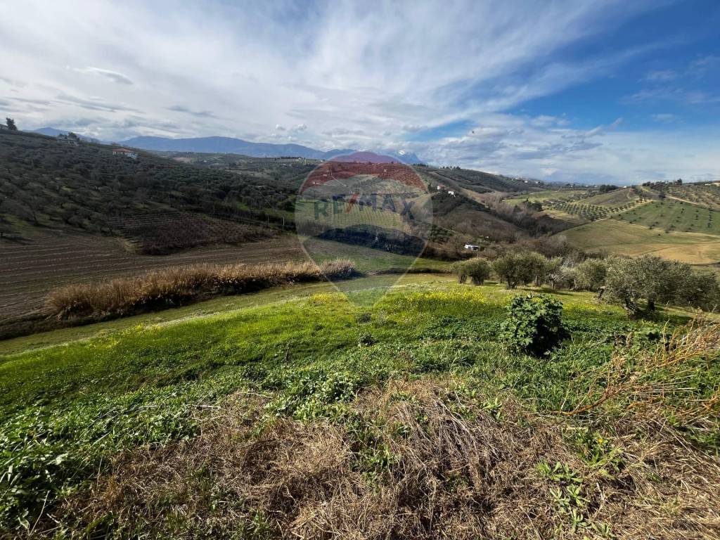 immagine annuncio 5 di 9