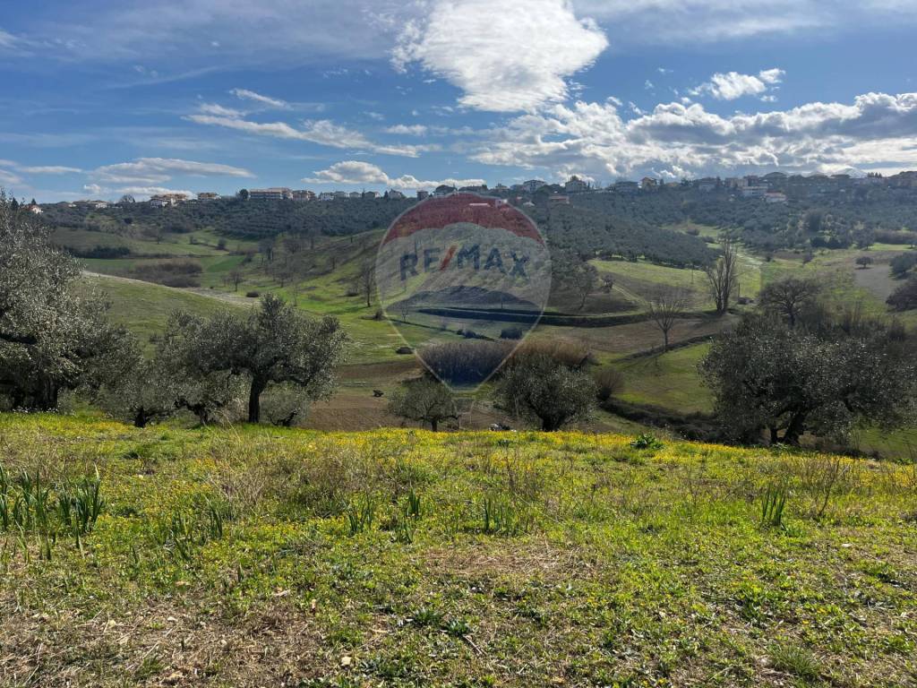 immagine annuncio 6 di 9