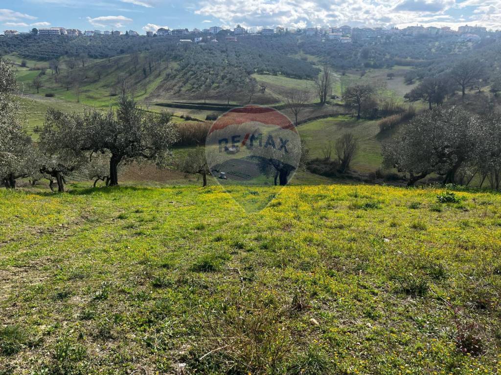 immagine annuncio 7 di 9