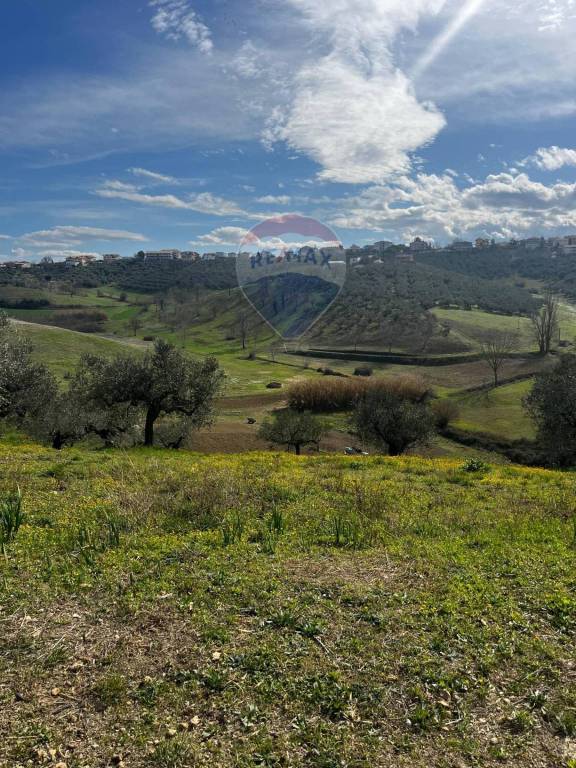 immagine annuncio 8 di 9