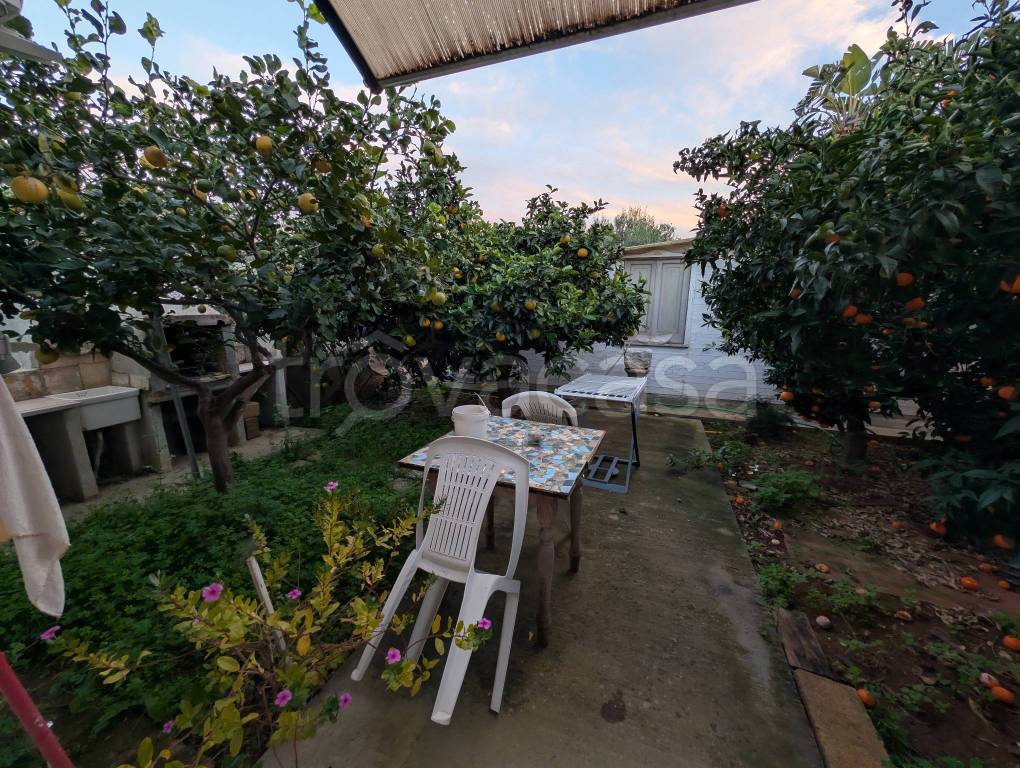 immagine annuncio 9 di 12