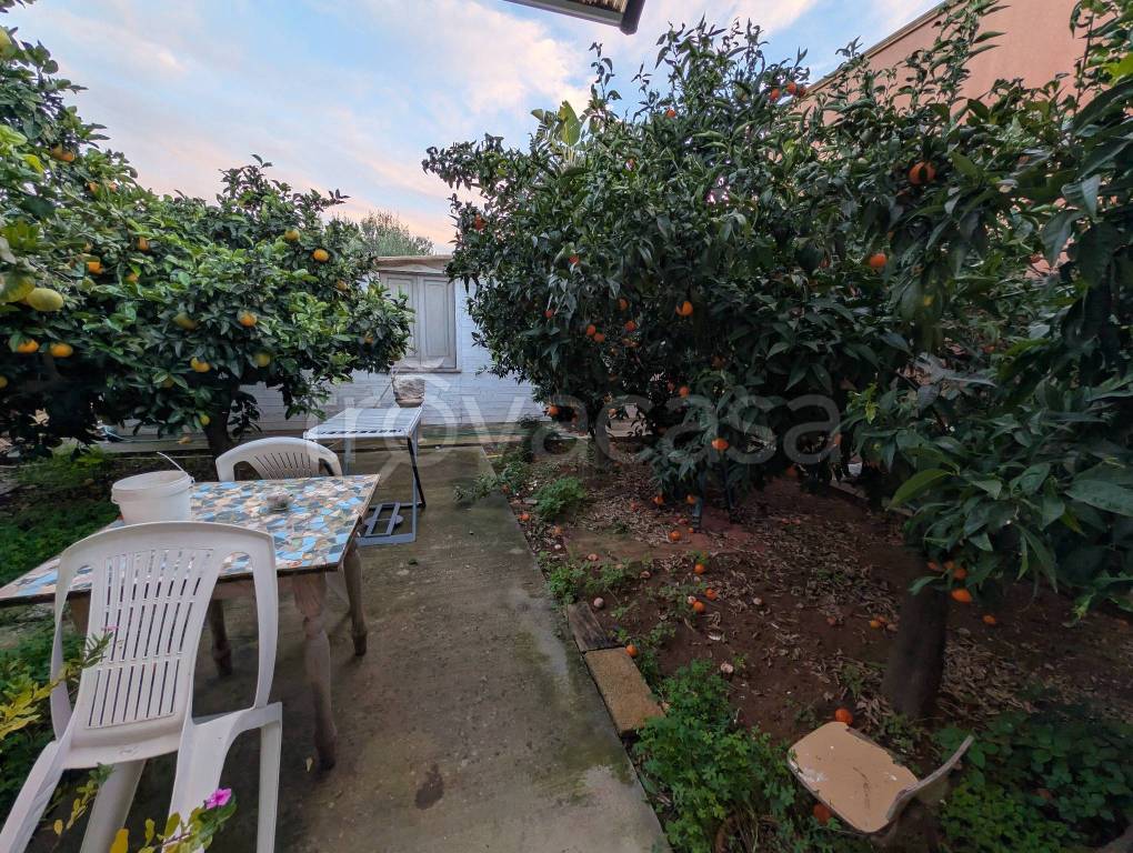 immagine annuncio 10 di 12