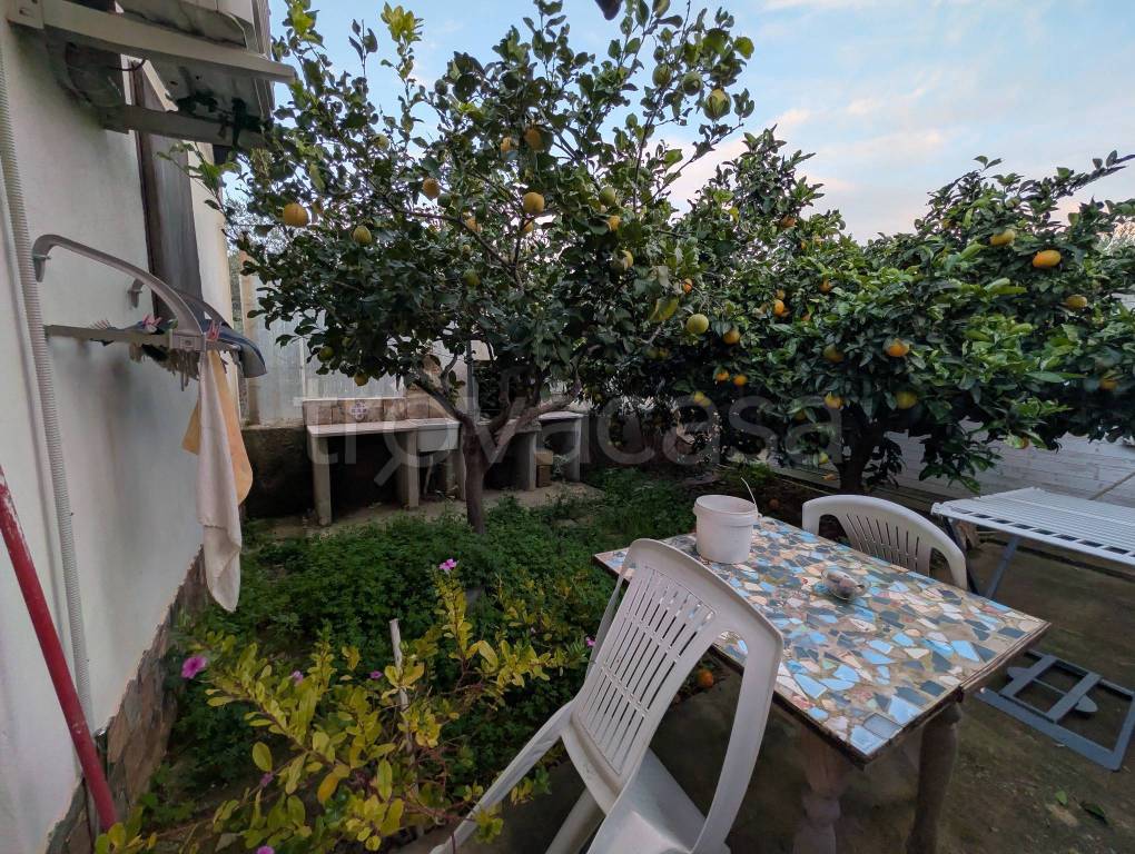 immagine annuncio 11 di 12