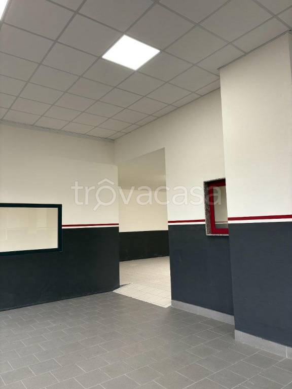 immagine annuncio 5 di 11