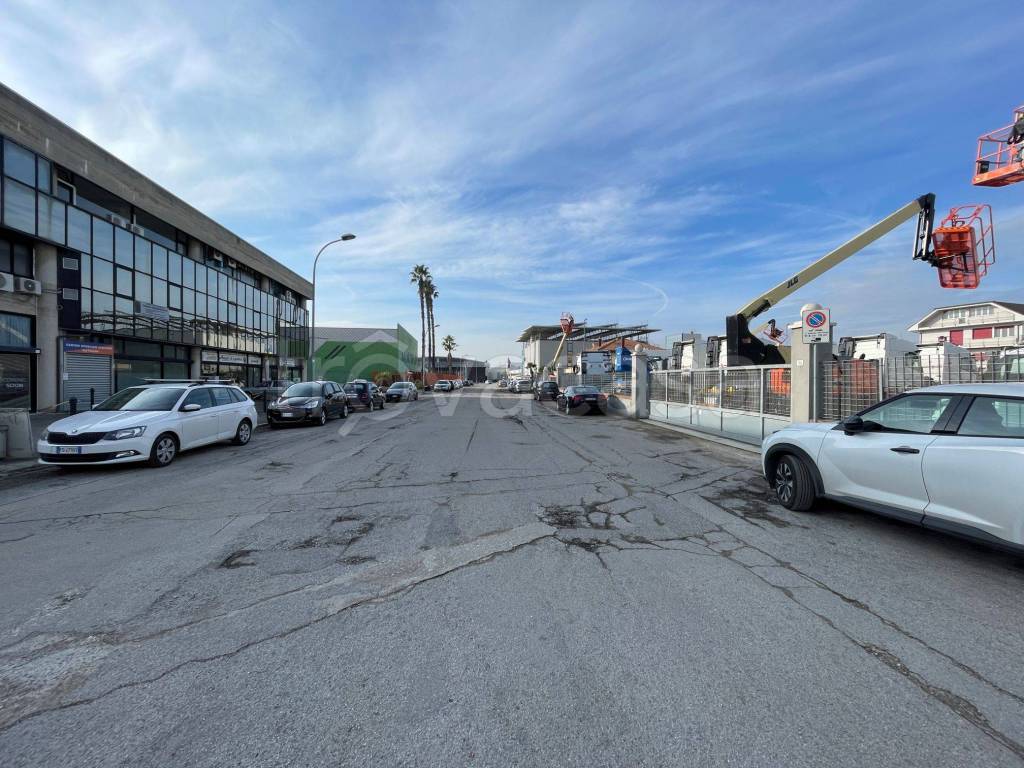 immagine annuncio 2 di 8