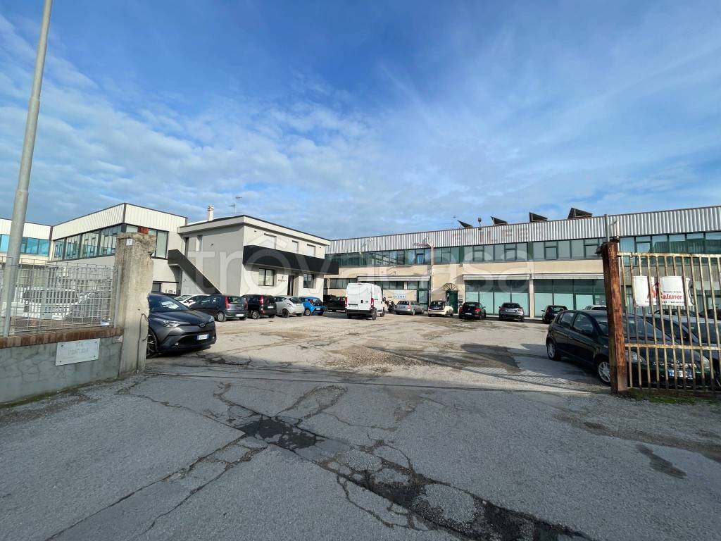 immagine annuncio 4 di 8