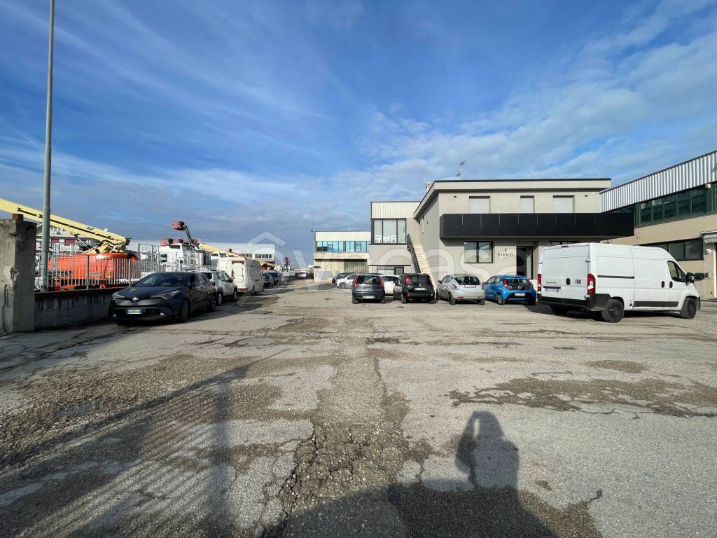 immagine annuncio 3 di 8