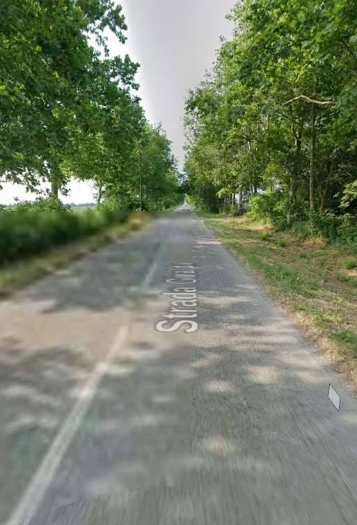 immagine annuncio 10 di 12