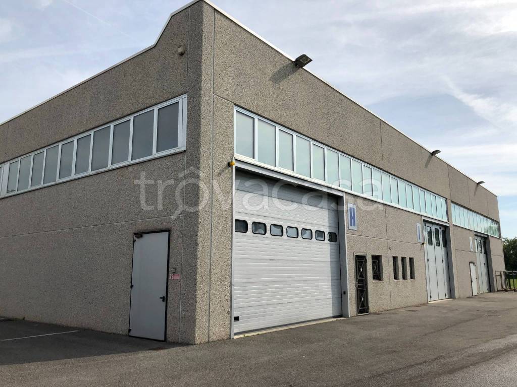 immagine annuncio 1 di 7