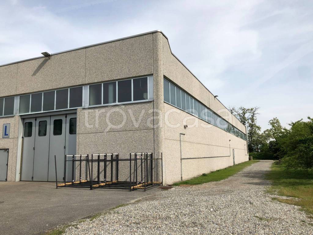 immagine annuncio 2 di 7