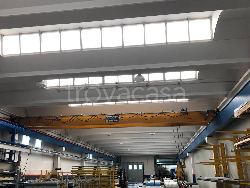 immagine annuncio 5 di 7