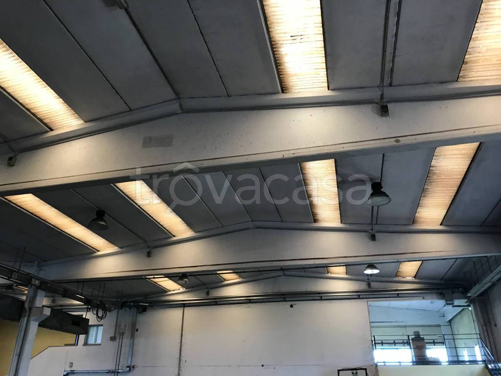 immagine annuncio 6 di 7