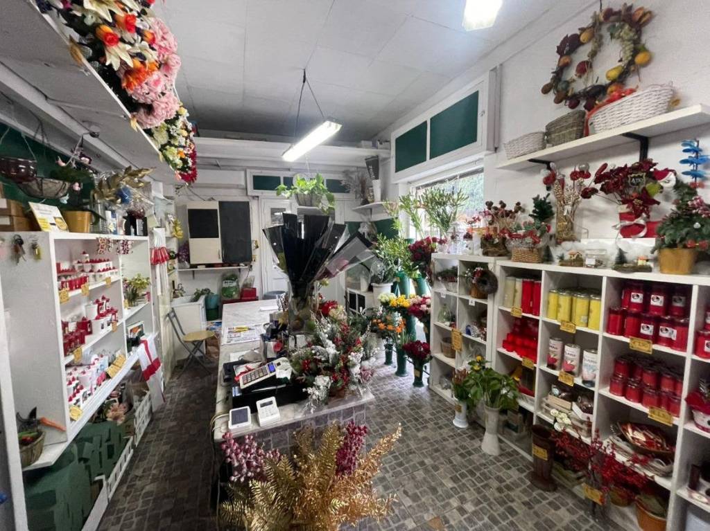 immagine annuncio 2 di 12