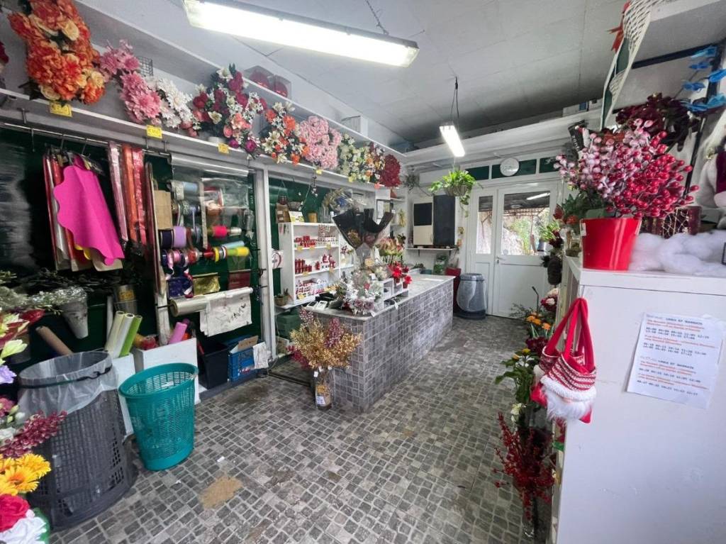 immagine annuncio 3 di 12