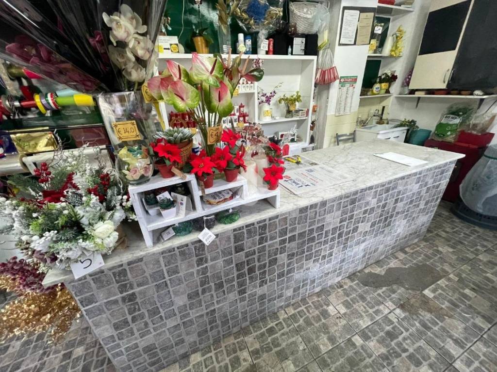 immagine annuncio 4 di 12