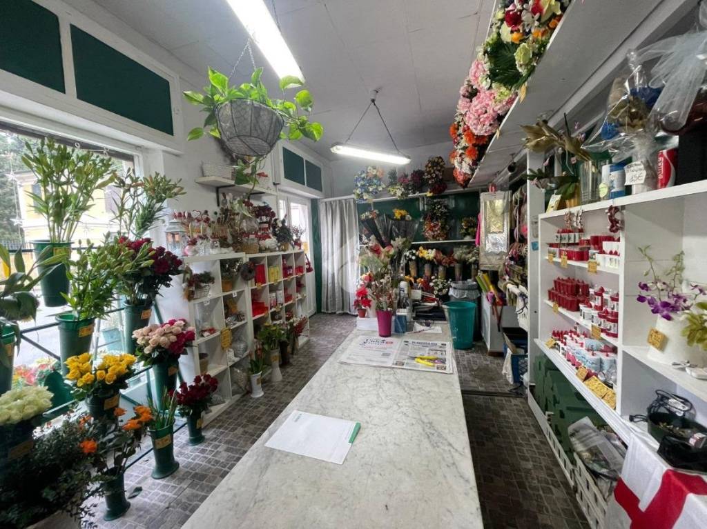 immagine annuncio 5 di 12