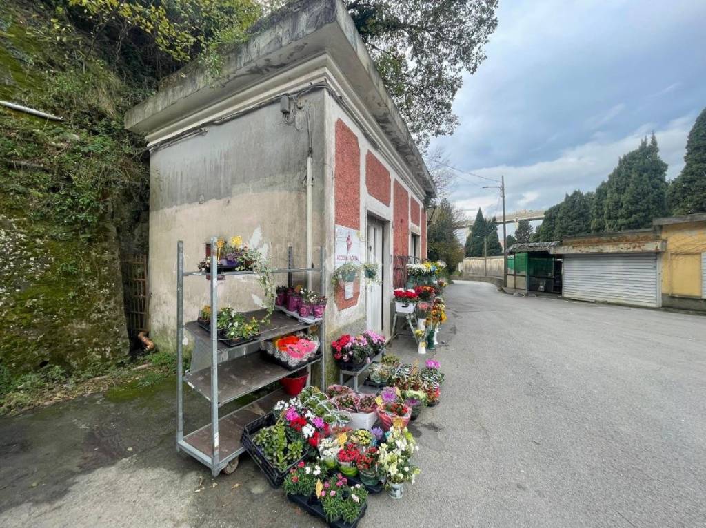 immagine annuncio 6 di 12