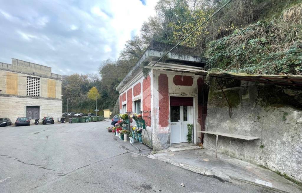 immagine annuncio 8 di 12