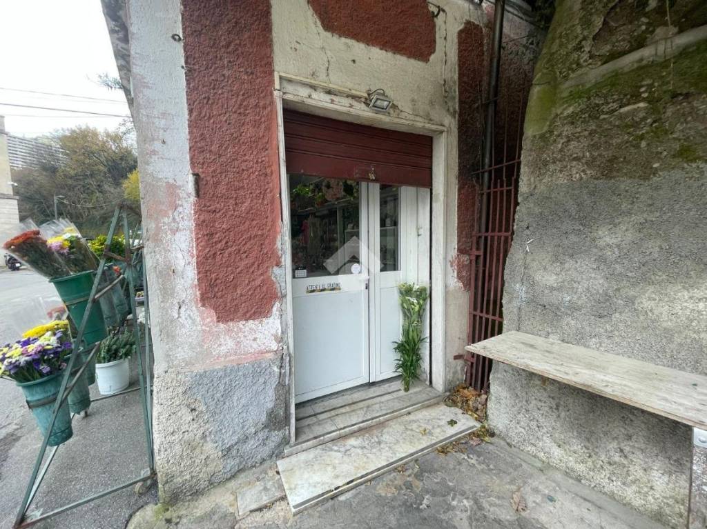 immagine annuncio 10 di 12