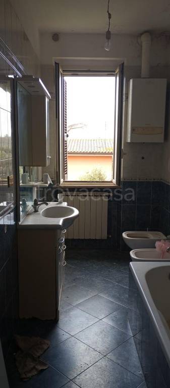 immagine annuncio 12 di 14