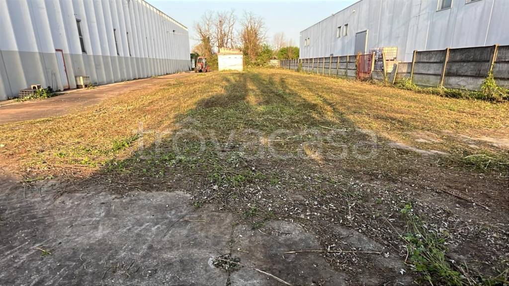 immagine annuncio 5 di 13