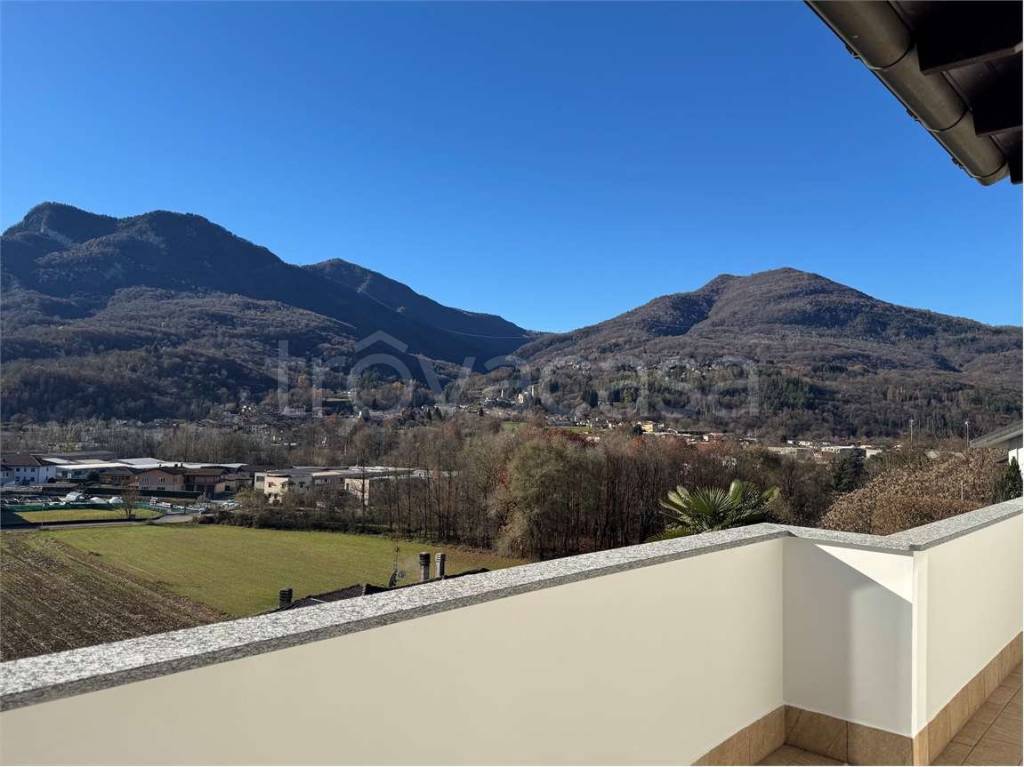 immagine annuncio 4 di 12