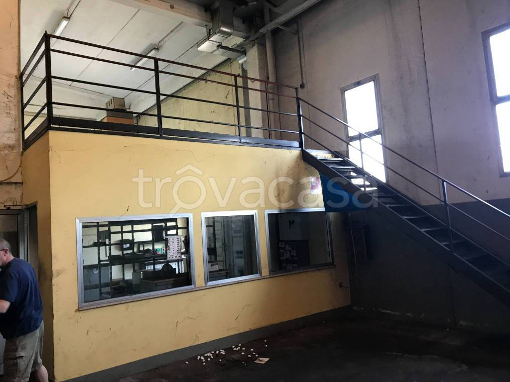 immagine annuncio 12 di 13